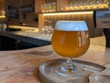 Ilium Brewing RBF beer