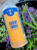 Sole Syndicate Blueberry Lemon Hard Seltzer beer
