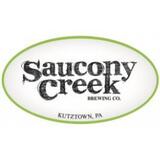 Saucony Creek Watermelon Pineapple Shandy beer