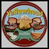 Yellowhead Tavern 1903 Lager beer
