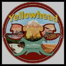 Yellowhead Tavern 1903 Lager beer Label Full Size