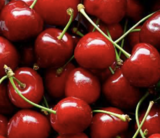 Bovino's Brewery Black Cherry Seltzer beer