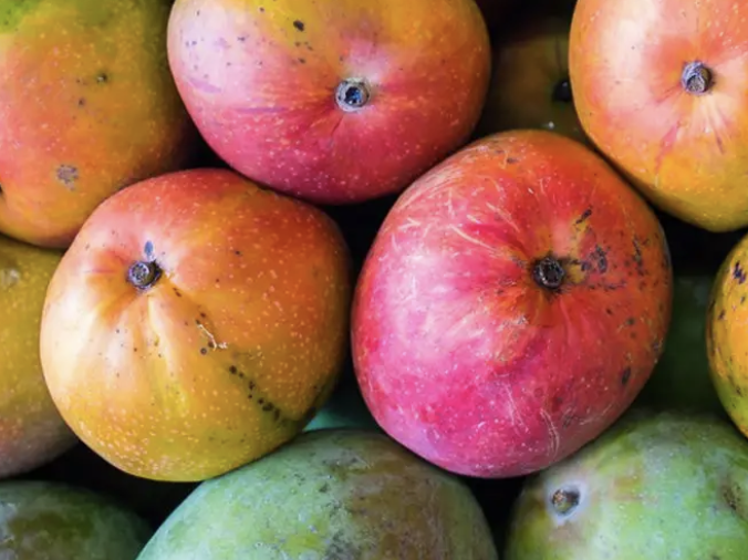 Bovino's Brewery Mango Seltzer beer Label Full Size