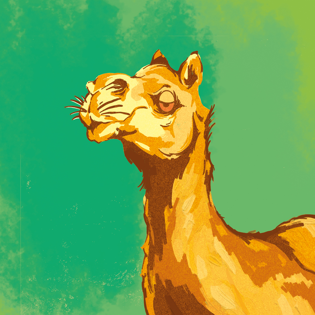 Tripping Animals Signal in the Static beer Label Full Size