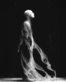 Root & Branch Shed beer