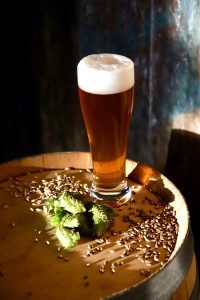 Throwback Remnant Rustic Lager beer Label Full Size