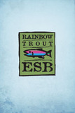 Blue Ridge Rainbow Trout beer Label Full Size