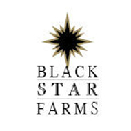 Black Star Farms Hard Apple Cider beer Label Full Size