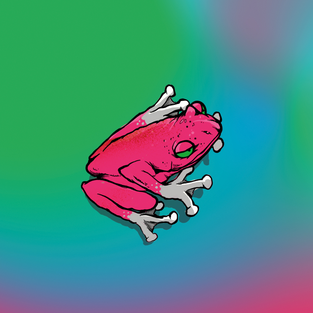 Tripping Animals Chillax Cherry Lime beer Label Full Size
