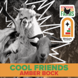 Atrium Cool Friends beer