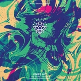 Hopfly Shadow Overlap beer