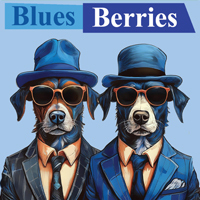 Black Dog Moores Light Blueberry Pomegranate beer Label Full Size