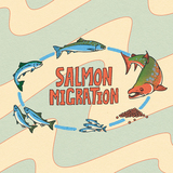 Tripping Animals Salmon Migration beer