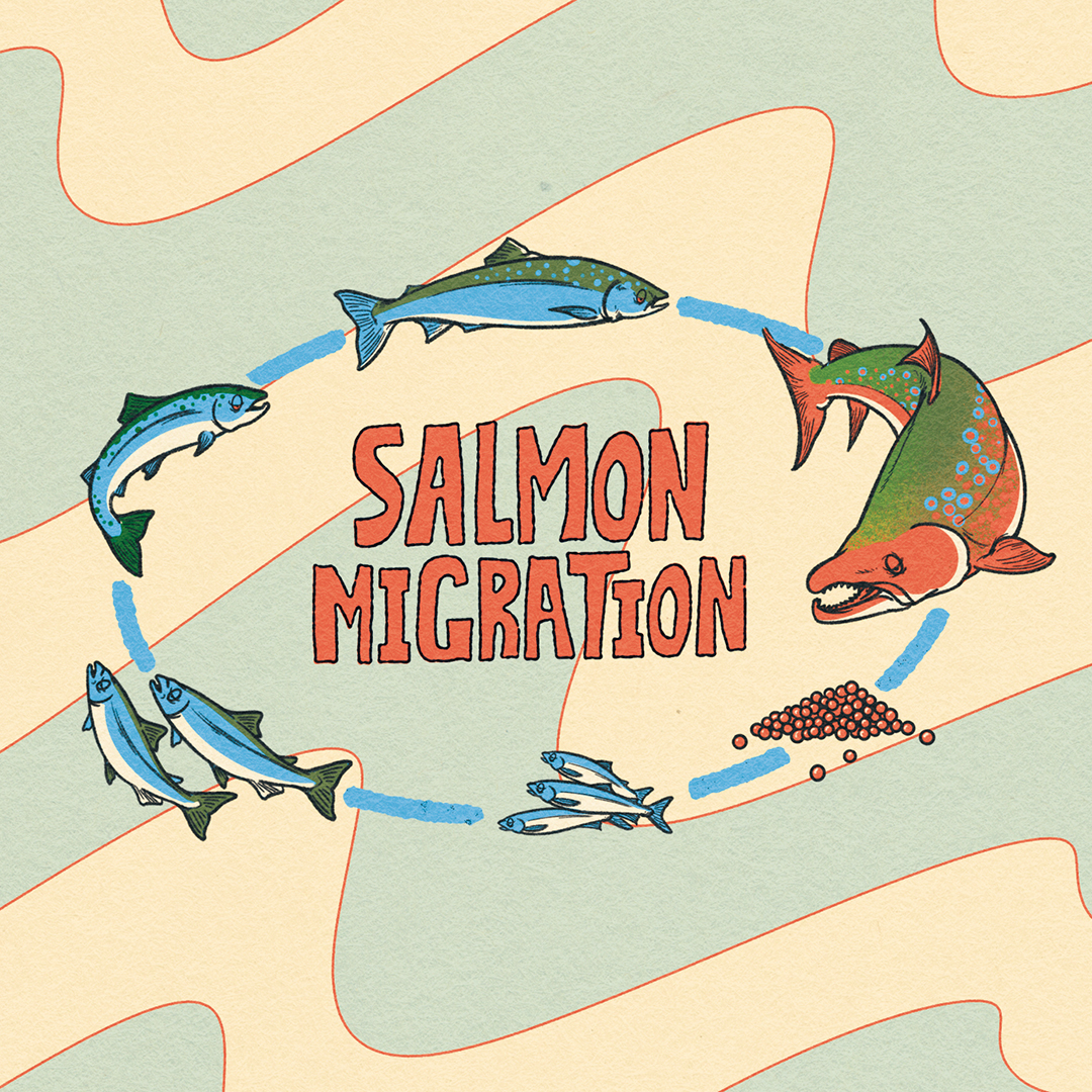 Tripping Animals Salmon Migration beer Label Full Size