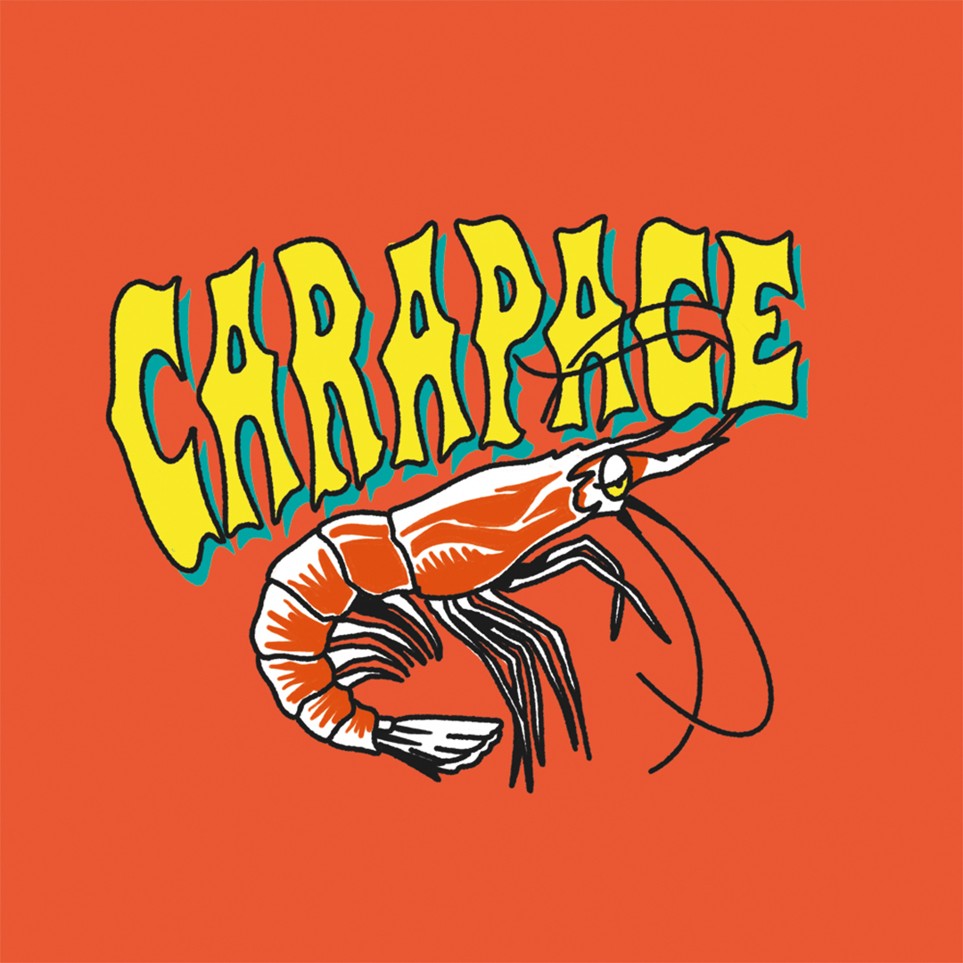 Tripping Animals + Everywhere Carapace beer Label Full Size