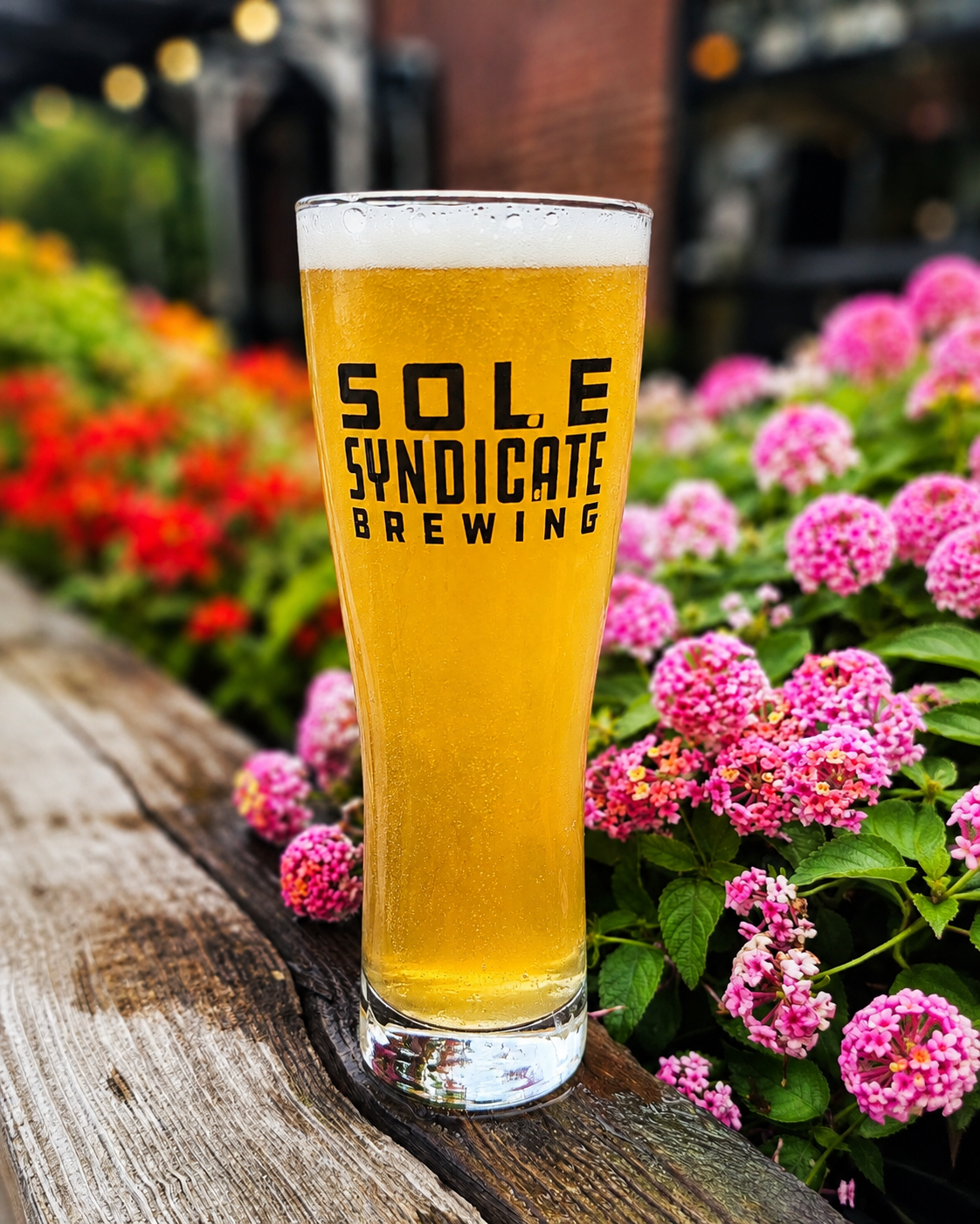 Sole Syndicate Autumn Promise beer Label Full Size