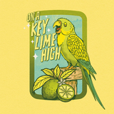 Tripping Animals + Cloudwater On A Key Lime High beer