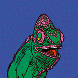 Tripping Animals Chromatic Haze beer