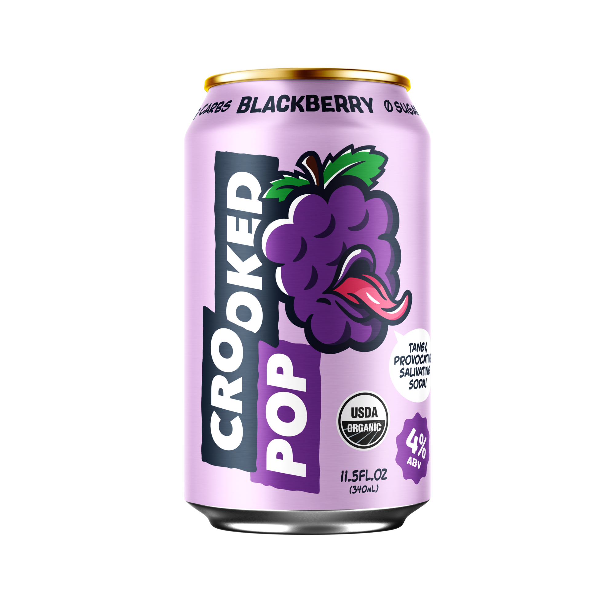 Crooked Pop Blackberry Hard Soda beer Label Full Size