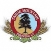 Tahoe Mountain Rhus Juice beer