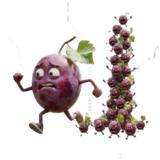 Inbound Grape Escape beer