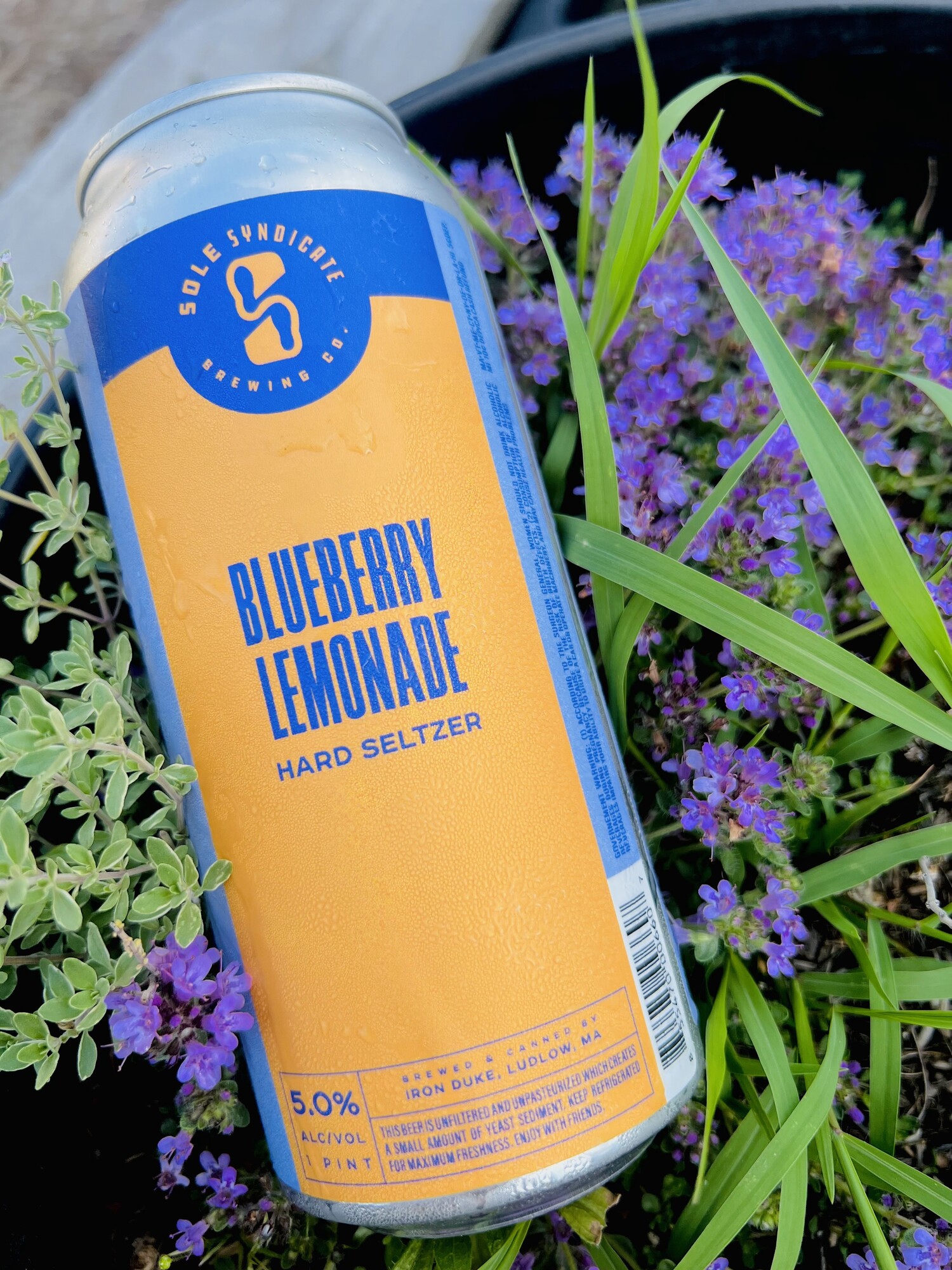 Sole Syndicate Blueberry Lemon Hard-Seltzer beer Label Full Size