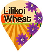 Latitude 42 Lilikoi beer Label Full Size
