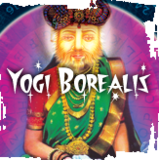 Greenbush Yogi Borealis beer