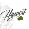 Marz + Antithesis Harvest Ale beer