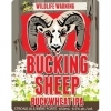 Dead Frog Bucking Sheep Buckwheat IPA beer Label Full Size