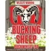 Dead Frog Bucking Sheep Buckwheat IPA beer