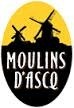 Moulins D'ascq Triple beer