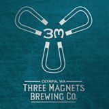 Three Magnets Golden Mandarina SMASH beer