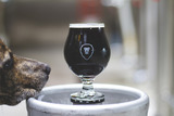 Aslan Organic Head of Security Brindle Sour beer