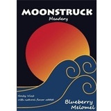 Moonstruck Blueberry Melomel beer
