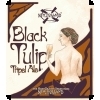New Holland Black Tulip 2012 beer Label Full Size