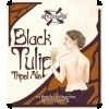 New Holland Black Tulip 2012 beer