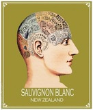 Otto's Constant Dream Sauvignon Blanc 2013 wine