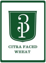 Three Pints Citra Face Wheat beer Label Full Size