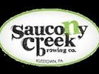 Saucony Creek X Series Imperial Baltic Porter beer
