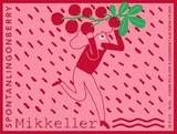 Mikkeller Spontanlingonberry beer