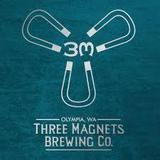 Three Magnets Belgain Pale Ale beer