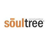 Soultree Ginger Apple Cider beer