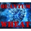 Rocket Republic Quantum Wheat beer