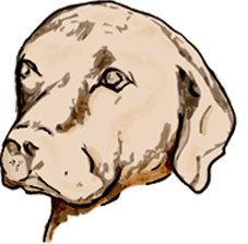 Duncan's Tarrytown Saison beer Label Full Size