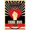 Marshall Tough Love IPA beer