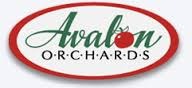 New Avalon Pale Cider beer Label Full Size