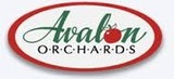 New Avalon Pale Cider beer