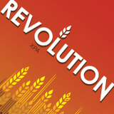 Eagle Rock Revolution XPA beer