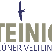 Steinig